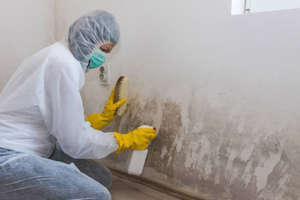 Best Mold Cleaning Services  in Claremore, OK