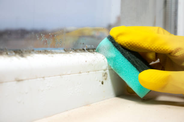 Home Mold Removal in Claremore, OK